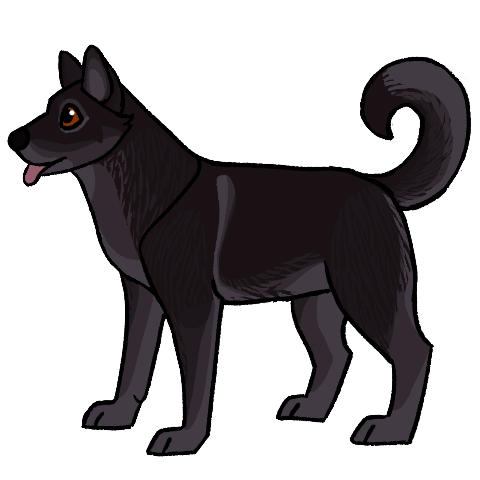 Dark Shadow Agouti